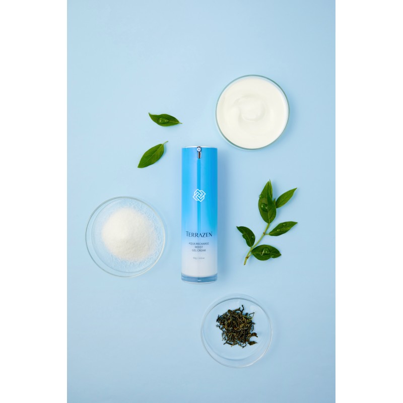 TERRAZEN Aqua Recharge Moist Gel Cream інтенсивно зволожуючий крем-гель з гіалуроновим комплексом, 60 г