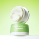 Відновлювальний крем із зеленим чаєм та керамідами By Wishtrend Green Tea & Ceramide Barrier Cream, 50 мл